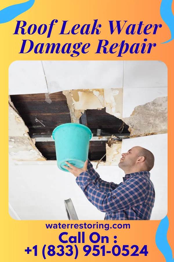Roof Leak Water Damage Repair in Nordheim, TX