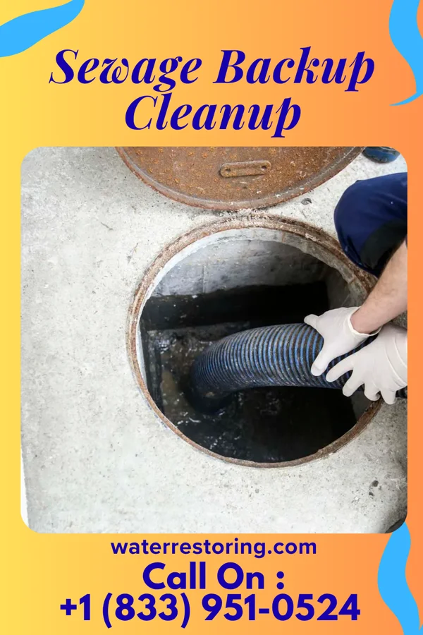 Sewage Backup Cleanup in Nordheim, TX